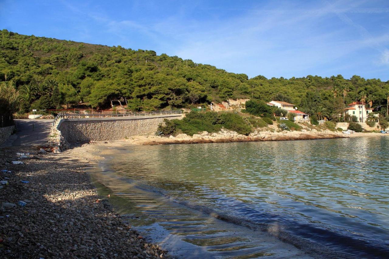 Apartments By The Sea Milna, Vis - 8913 Luaran gambar