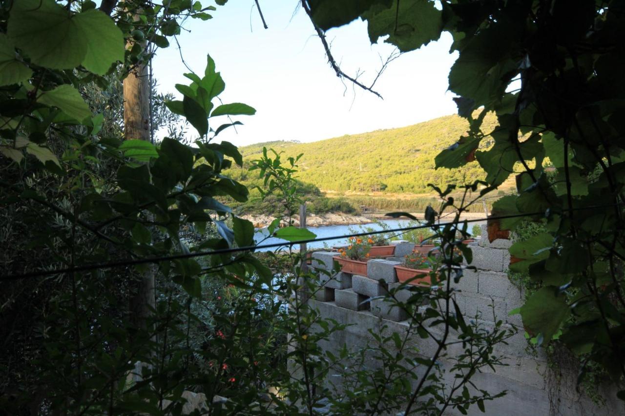 Apartments By The Sea Milna, Vis - 8913 Luaran gambar